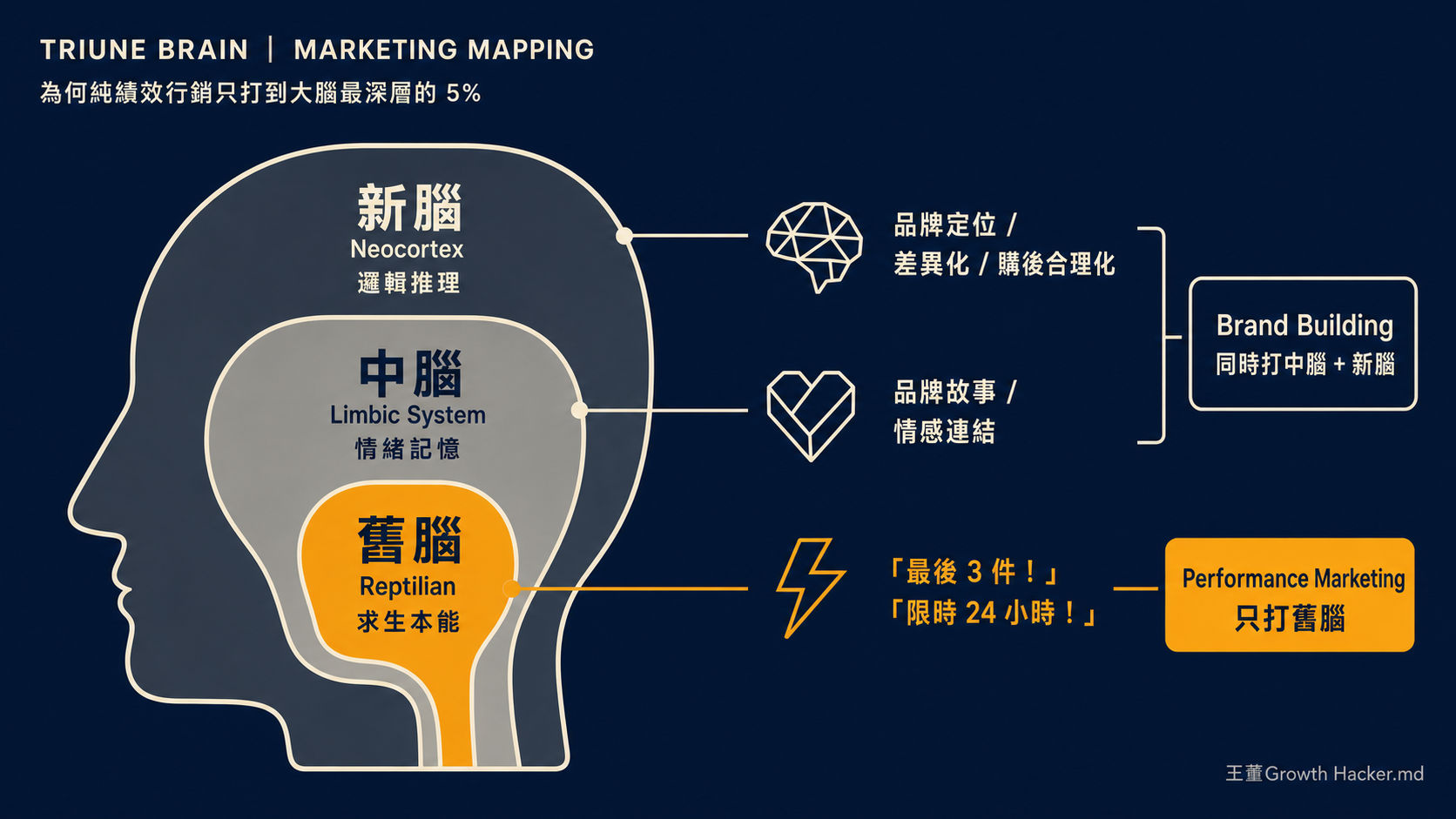 Triune Brain 三重腦對應行銷戰術：純績效行銷只打到最深層的舊腦（5%），Brand Building 同時打中腦+新腦