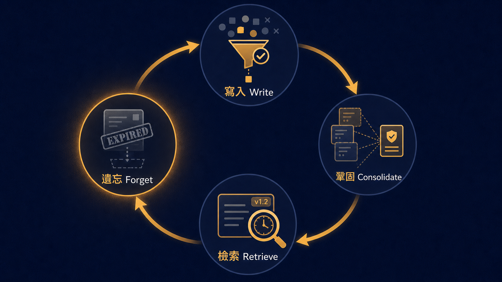 寫入、鞏固、檢索、遺忘。記憶不是一顆外接硬碟,是一套一直在運轉的資訊治理循環。